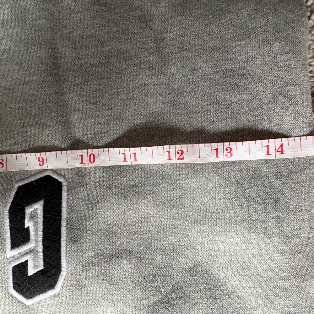 GAP Light Gray Hooded Pullover for DOG 🐶 - Picture 3 of 10